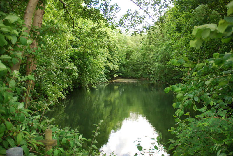 Feuerwehrteich