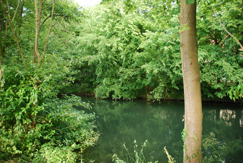 Feuerwehrteich